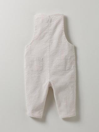 Baby's seersucker overalls