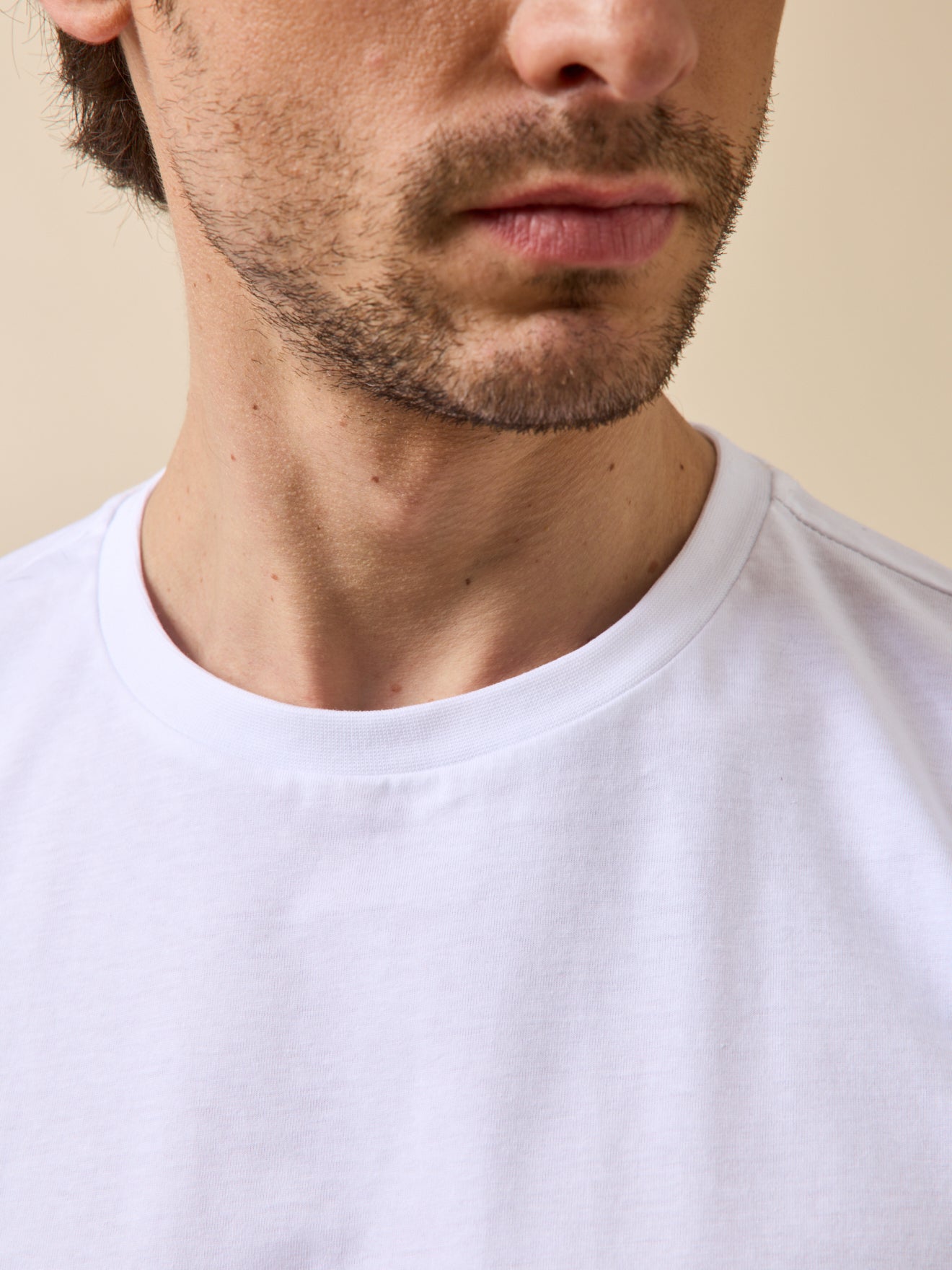 T-shirt uni homme coton biologique