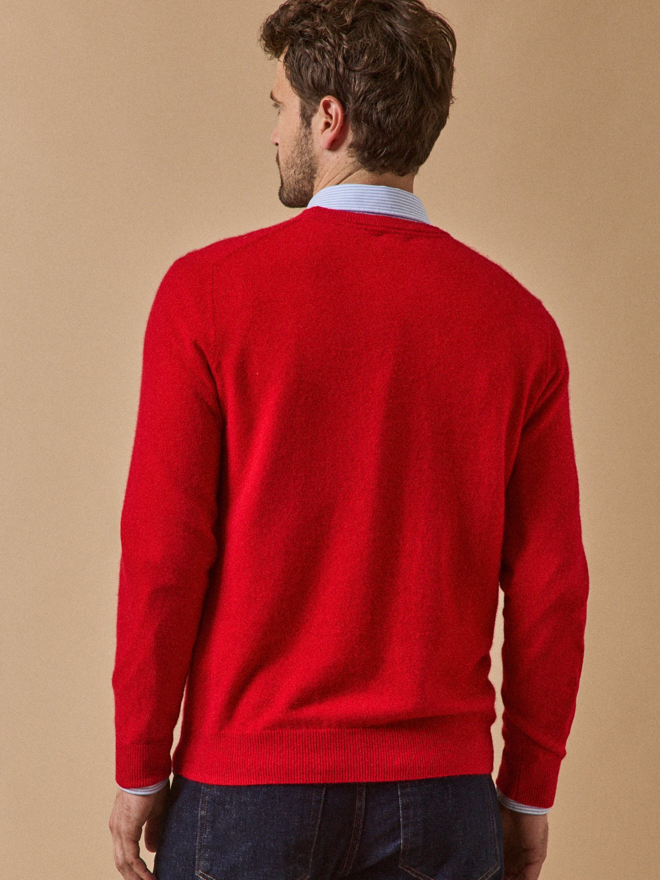 Men's round-neck sweater - The Cashmere Collection