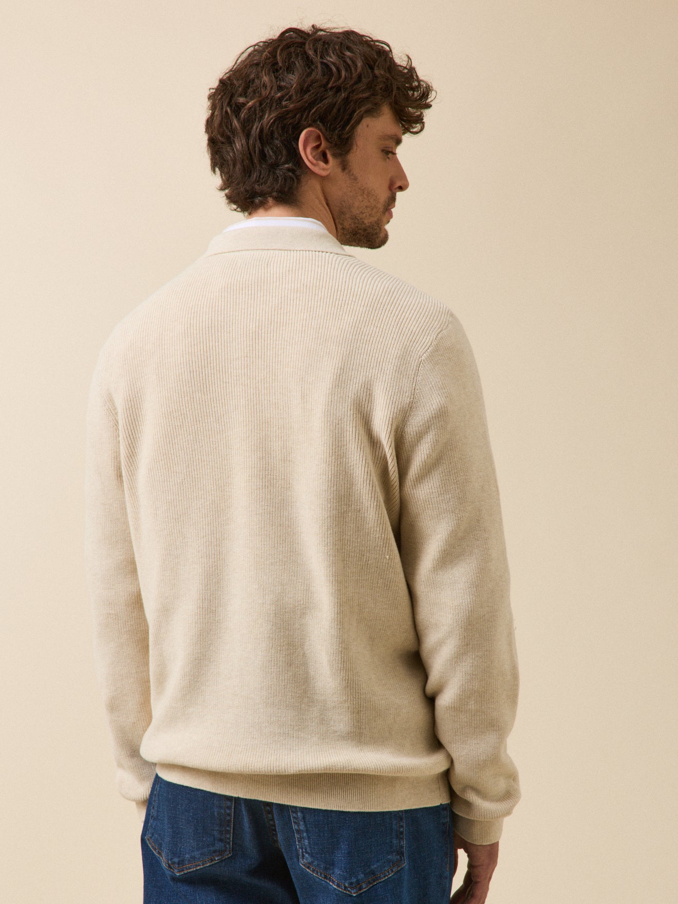 Pull col polo homme coton biologique