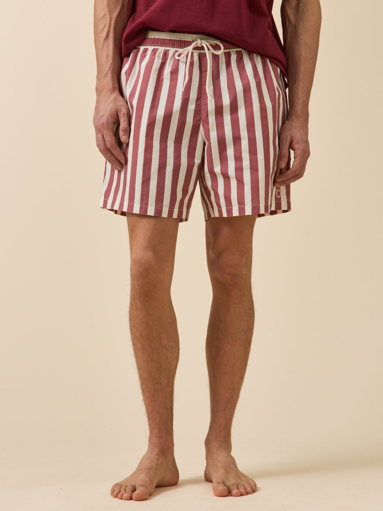 Men's striped swimming shorts