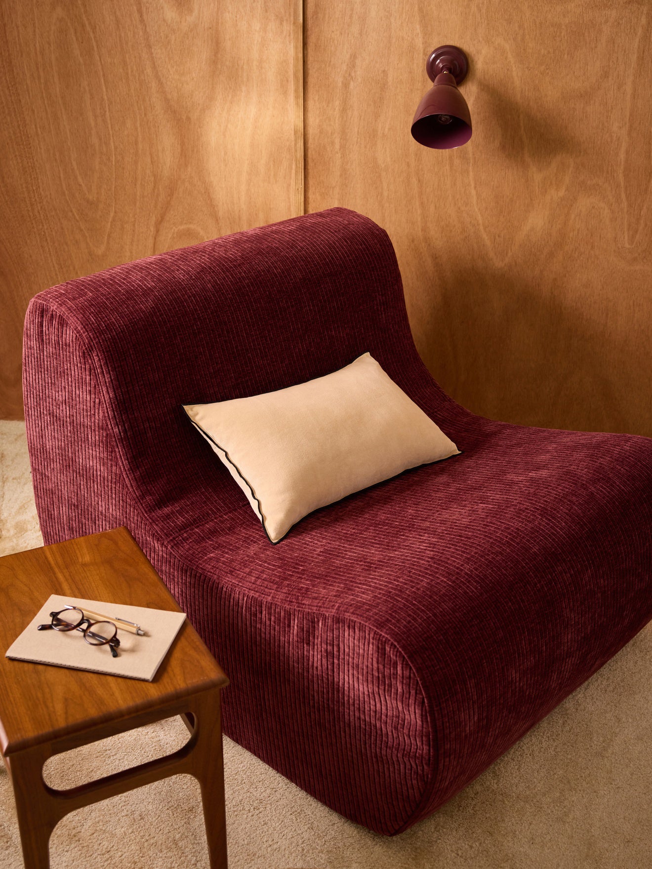 Housse de coussin en velours
