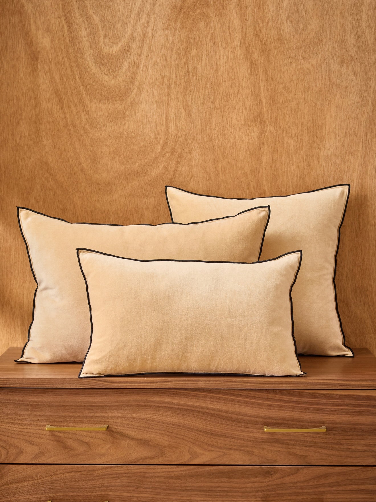 Housse de coussin en velours