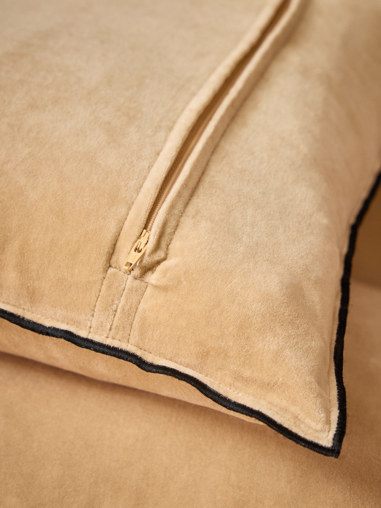 Housse de coussin en velours