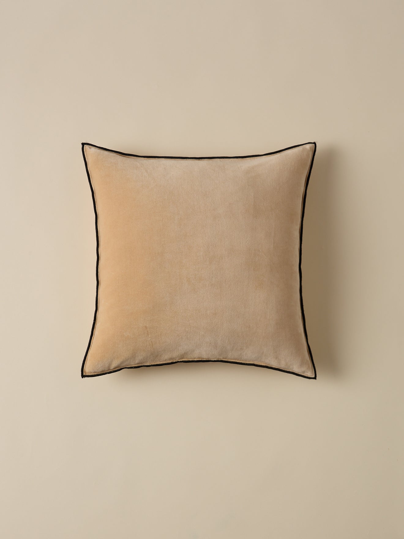 Housse de coussin en velours