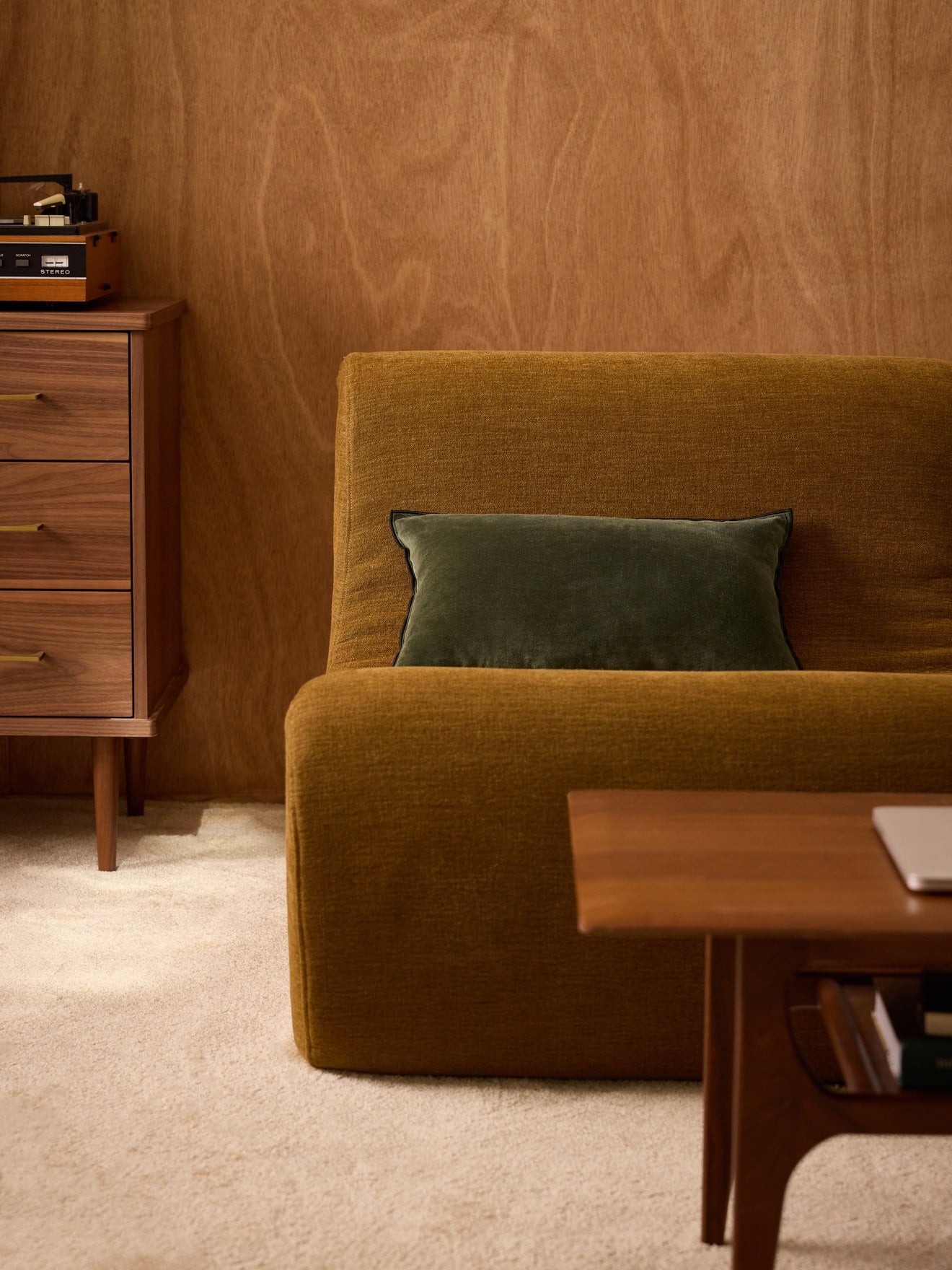 Housse de coussin en velours