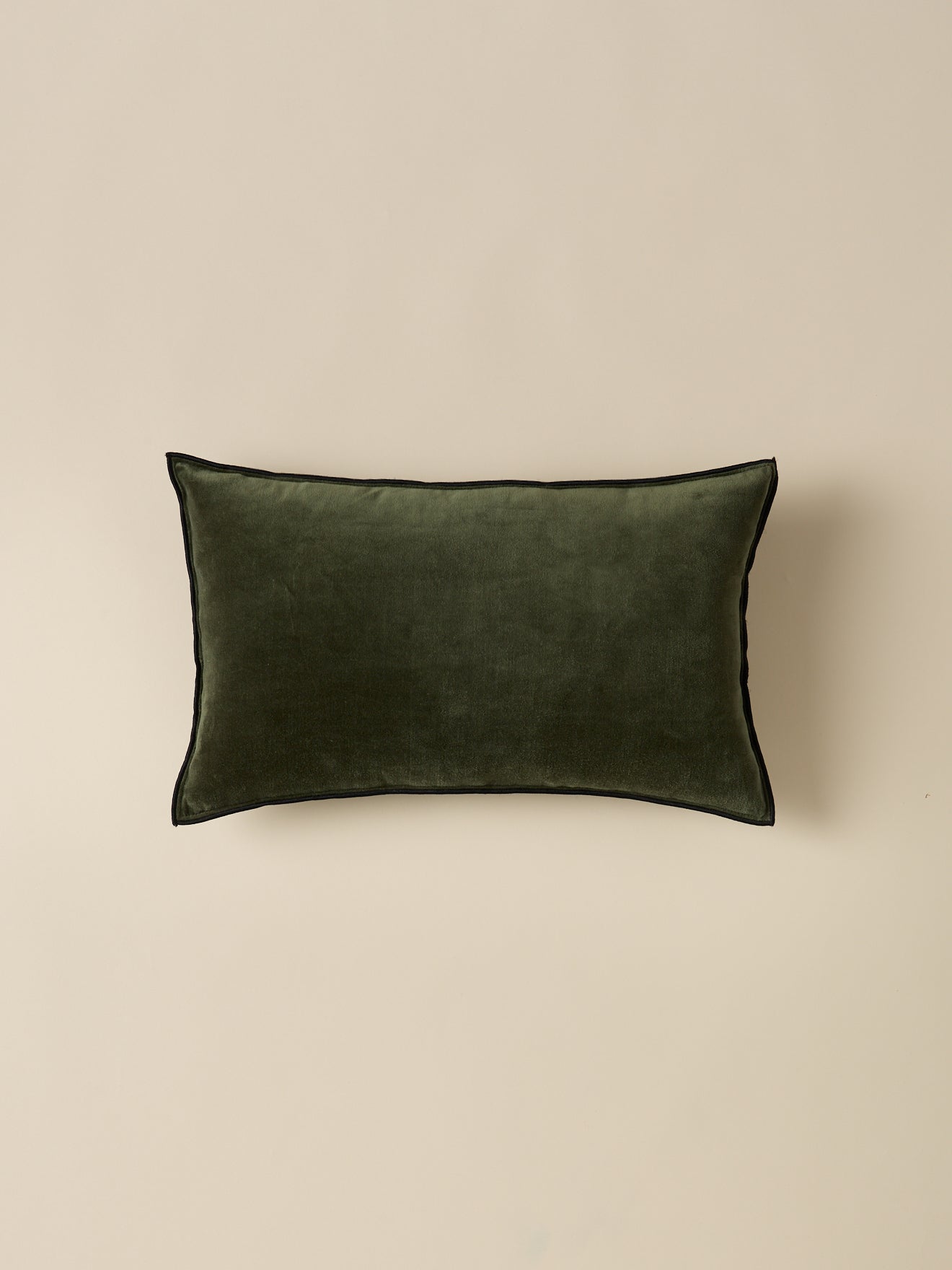 Housse de coussin en velours