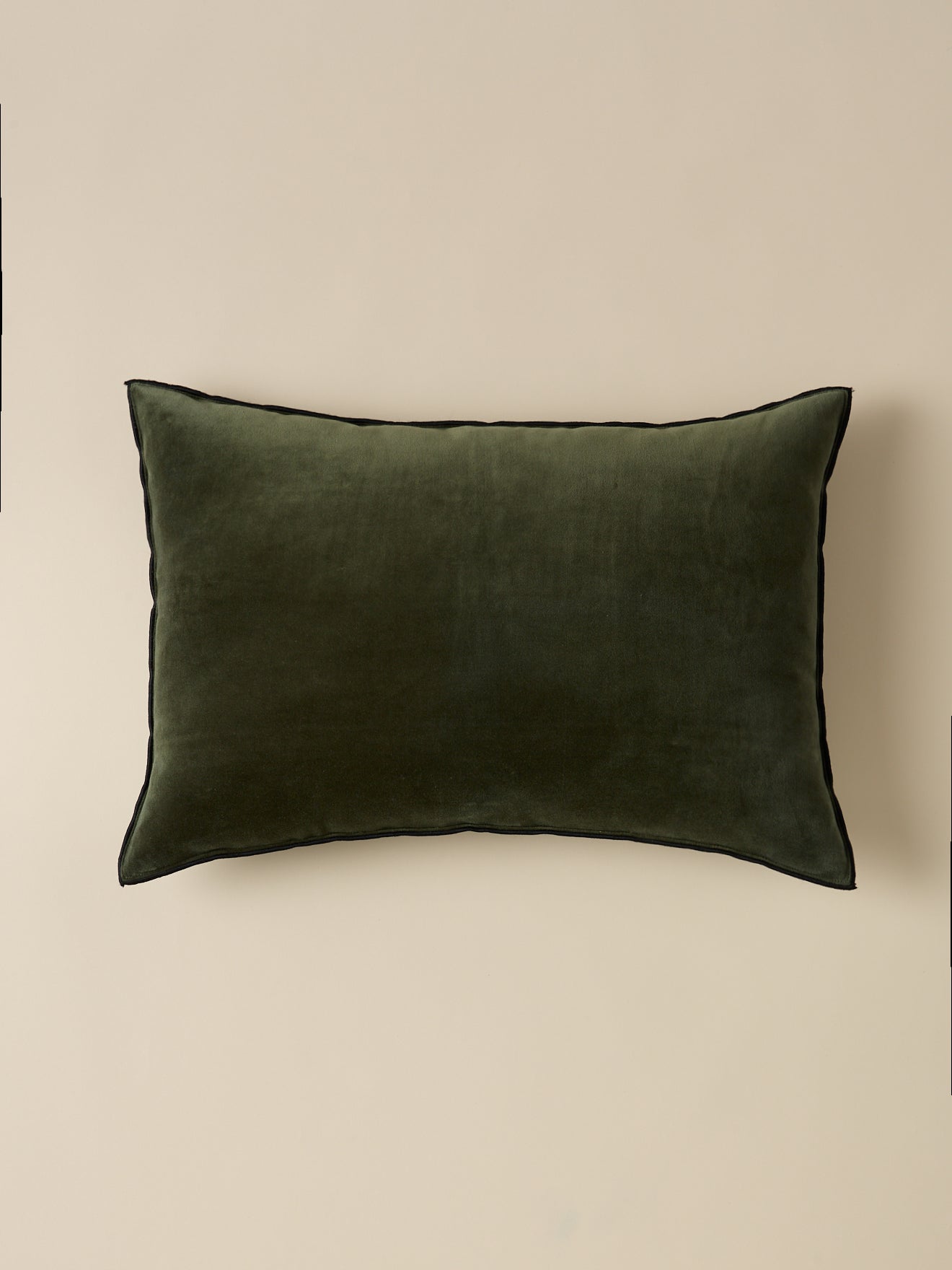 Housse de coussin en velours