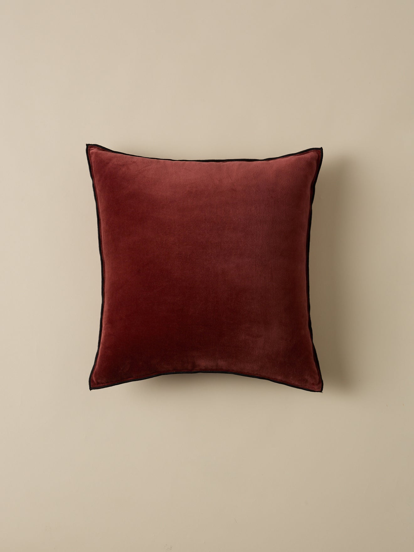 Housse de coussin en velours