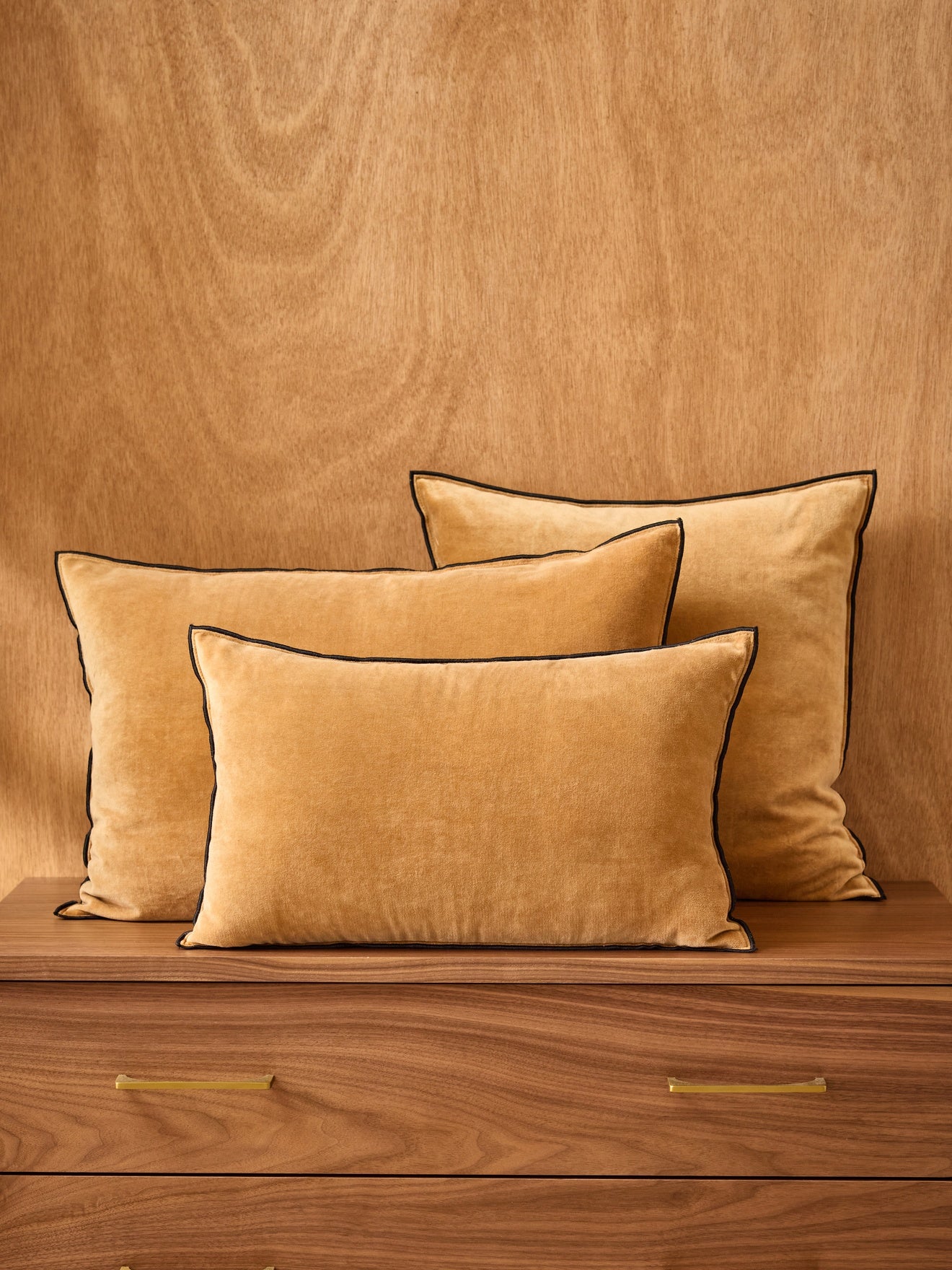 Housse de coussin en velours