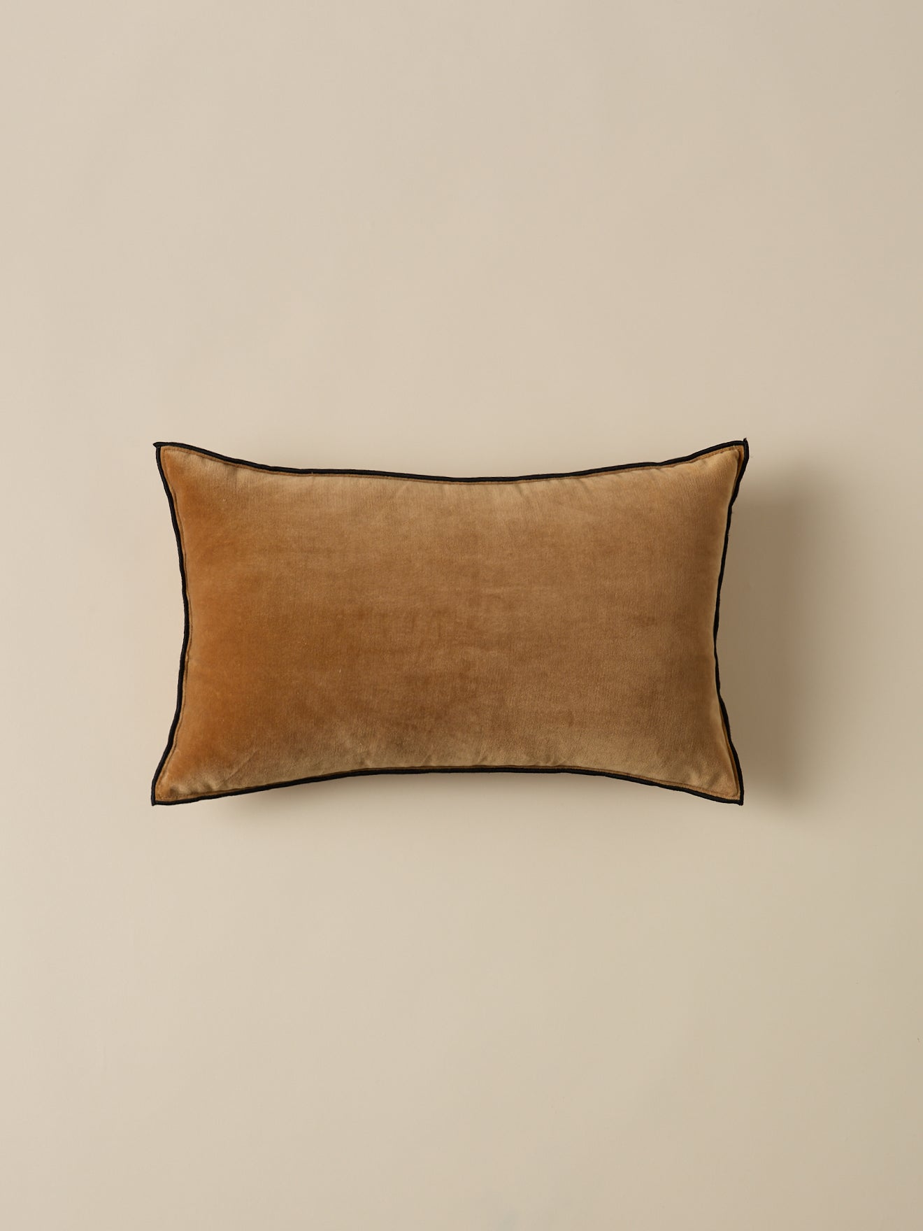 Housse de coussin en velours