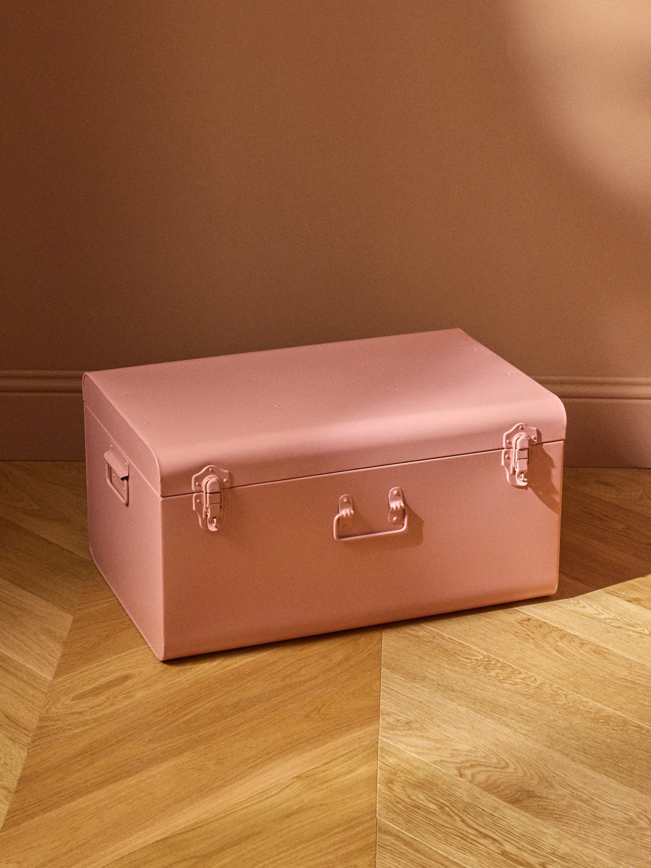 Metal storage trunk