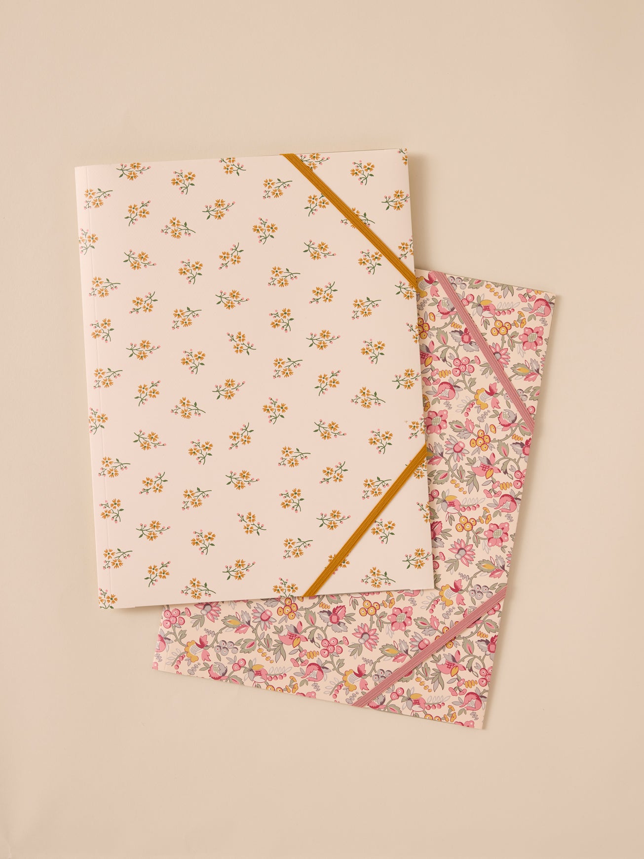 Pack of 2 paper folders