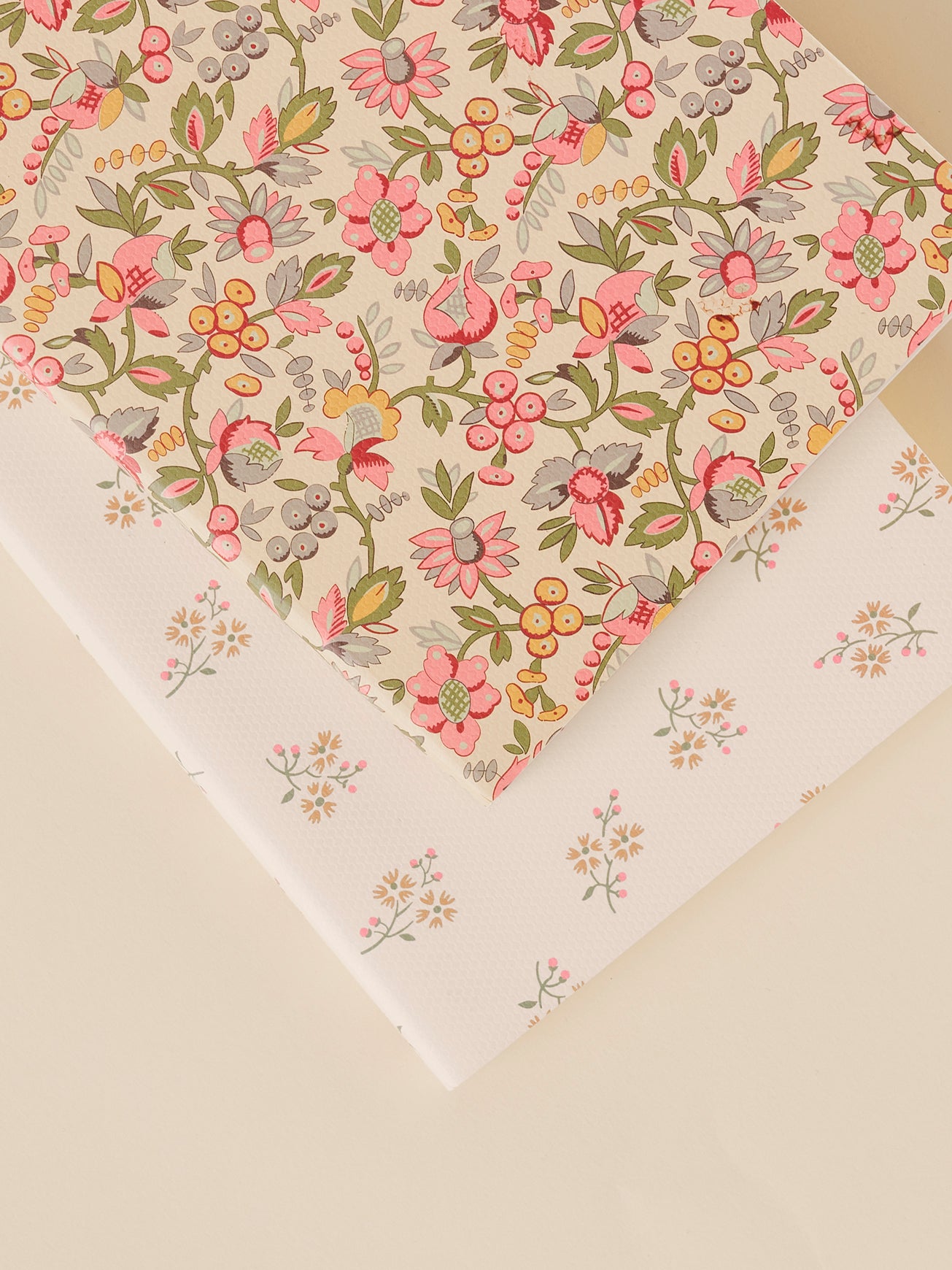 Pack of 2 notebooks