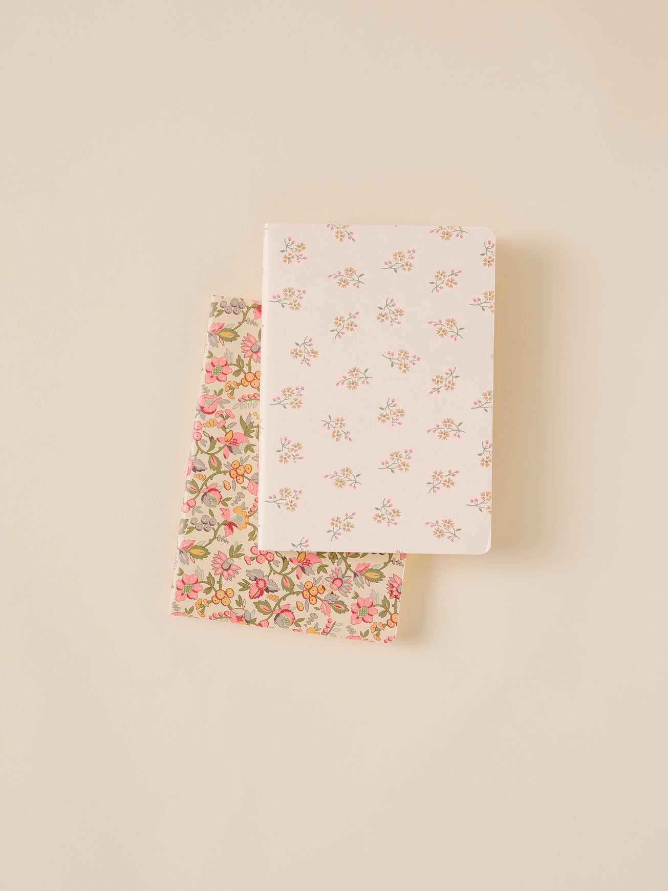 Pack of 2 notebooks