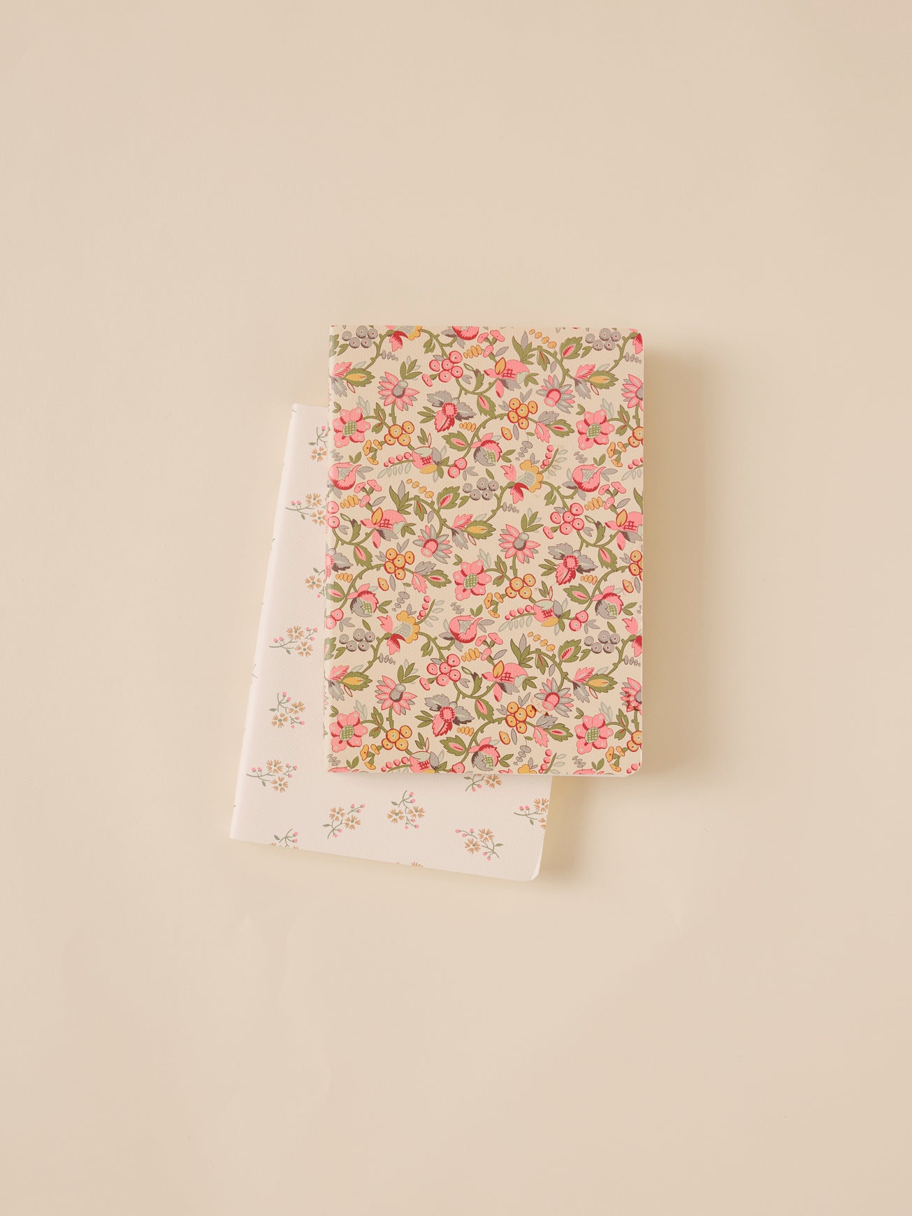 Pack of 2 notebooks