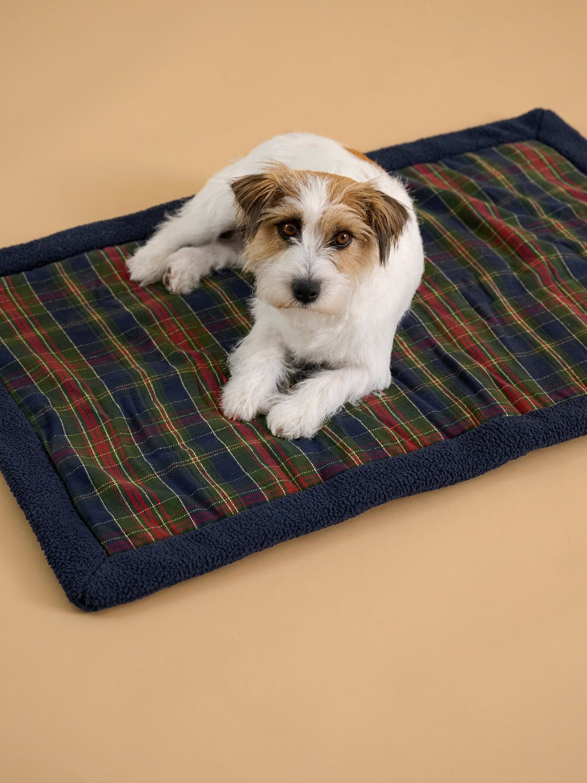 Couverture pour chien - Collection Fine Truffe