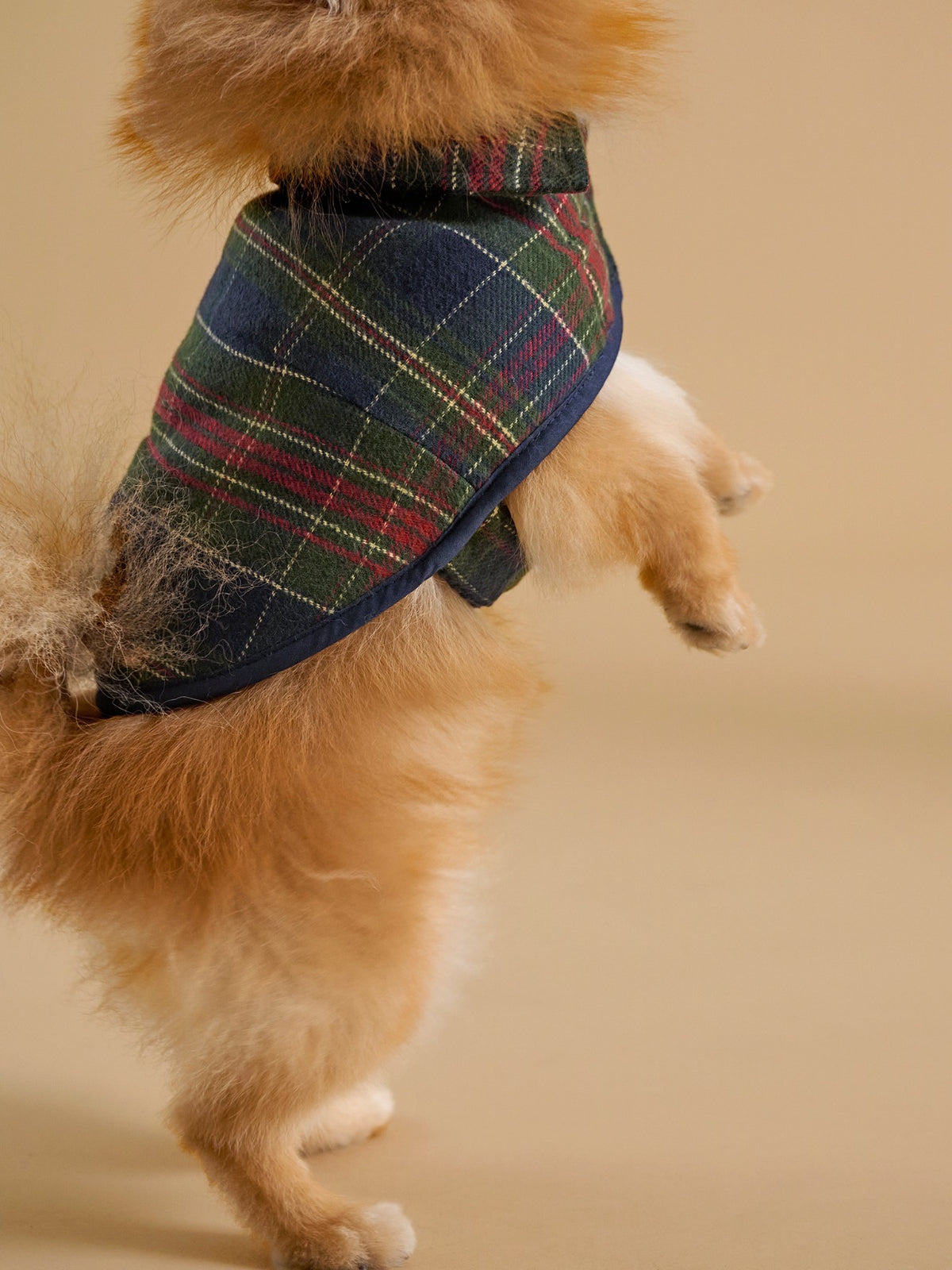 Manteau pour chien doublé  - Collection Fine Truffe