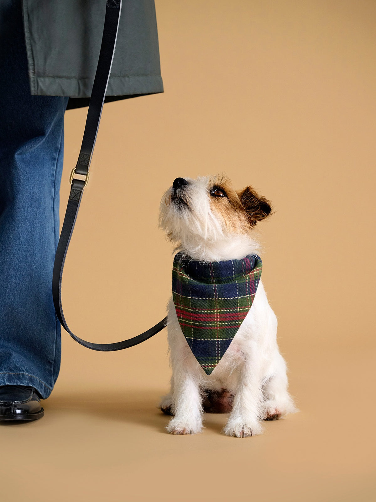 Bandana pour chien - Collection Fine Truffe