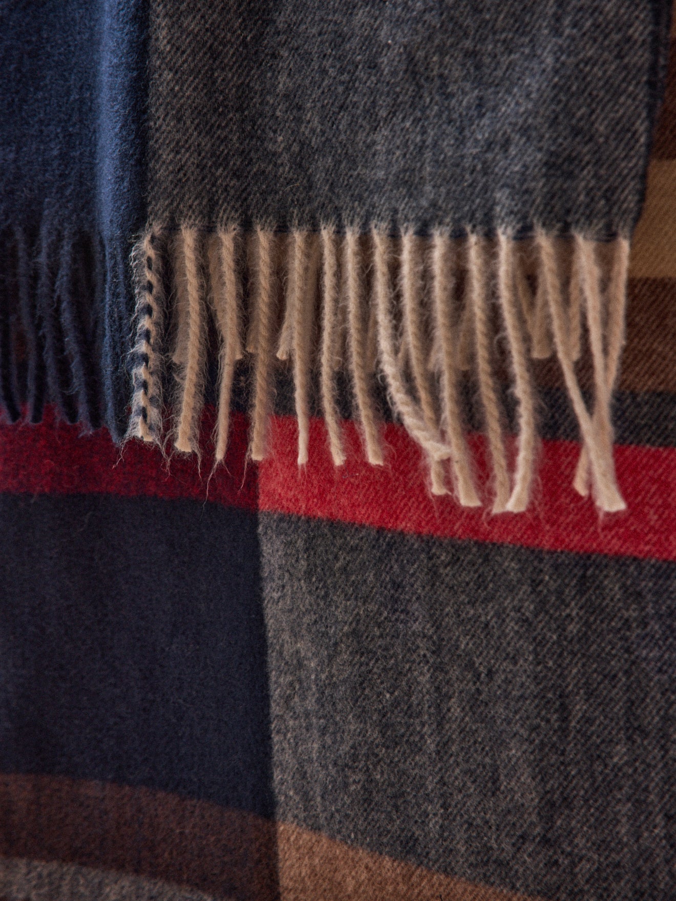 Men's check fringed scarf