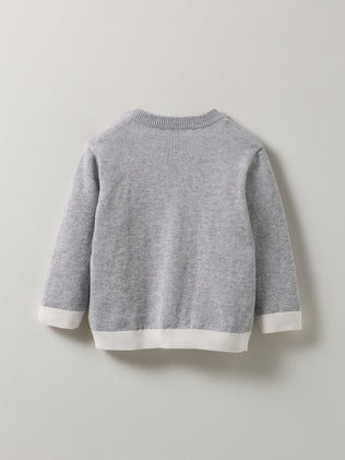 Baby's organic cotton sweater