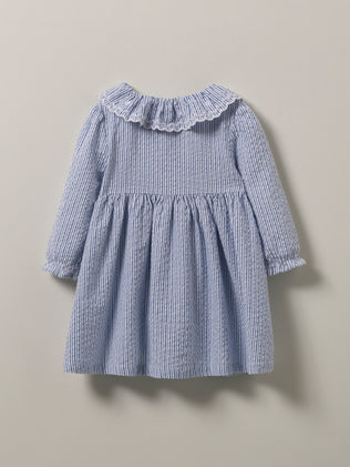 Baby's embroidered seersucker dress