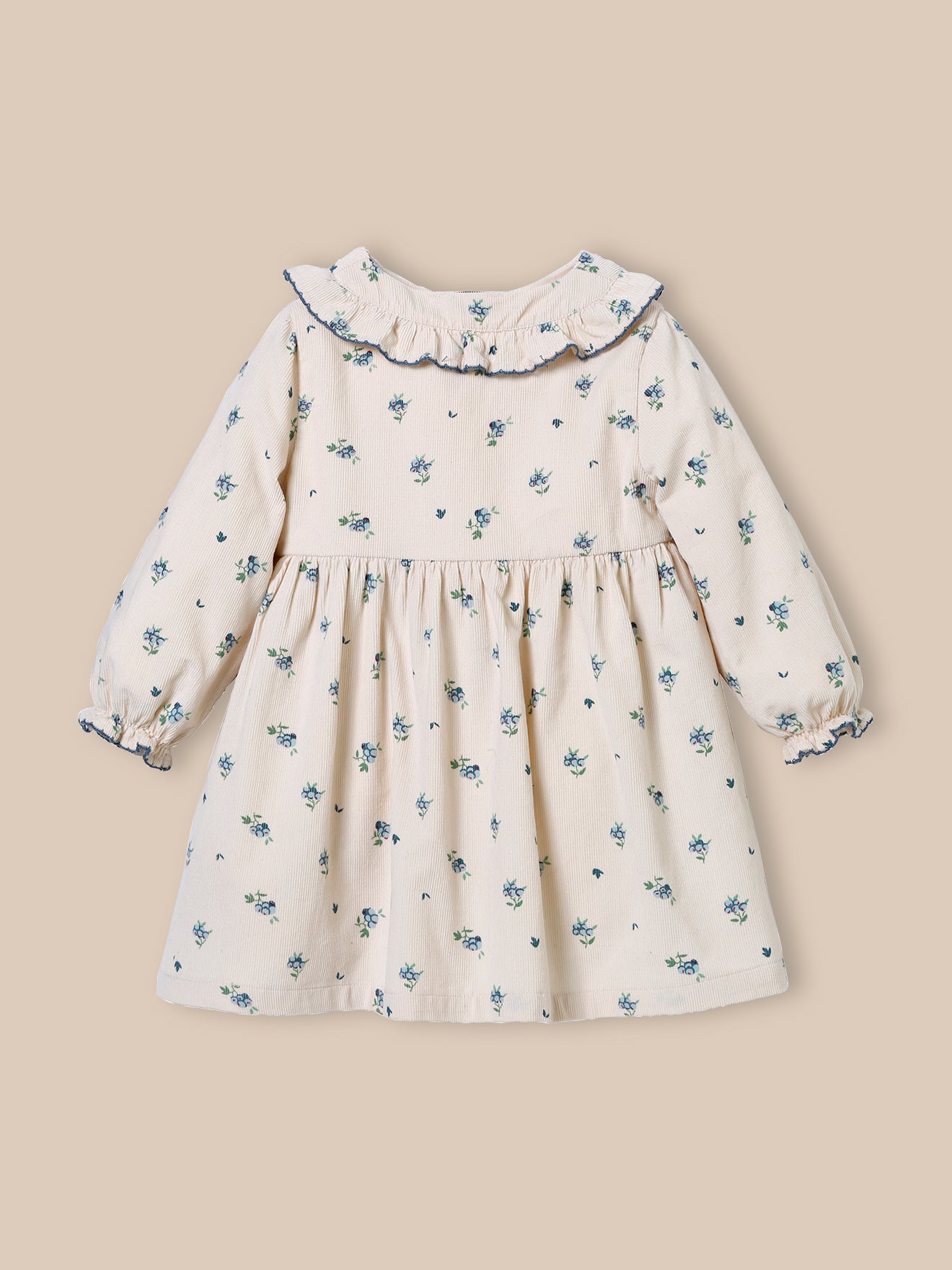 Baby's corduroy dress