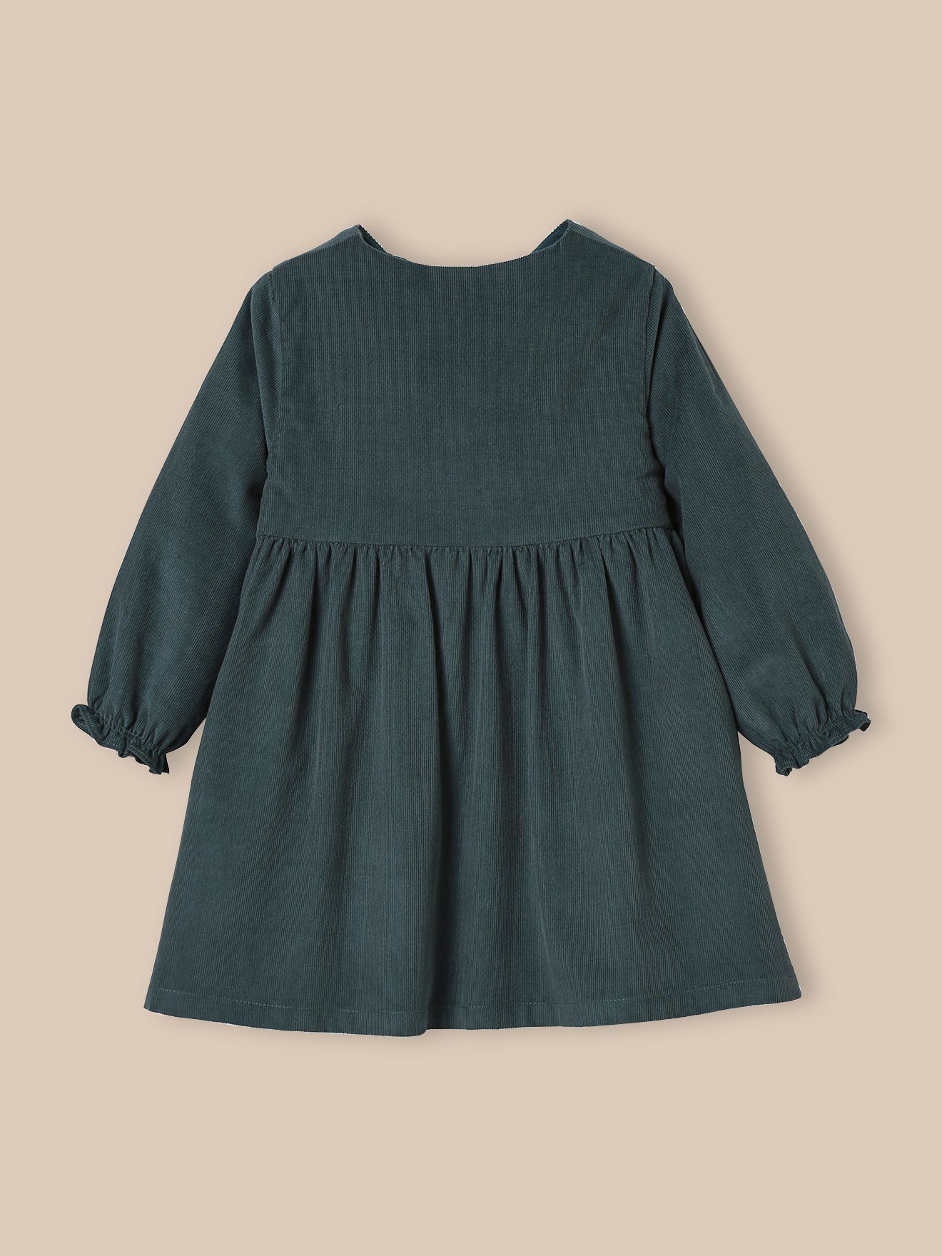 Baby's velour dress