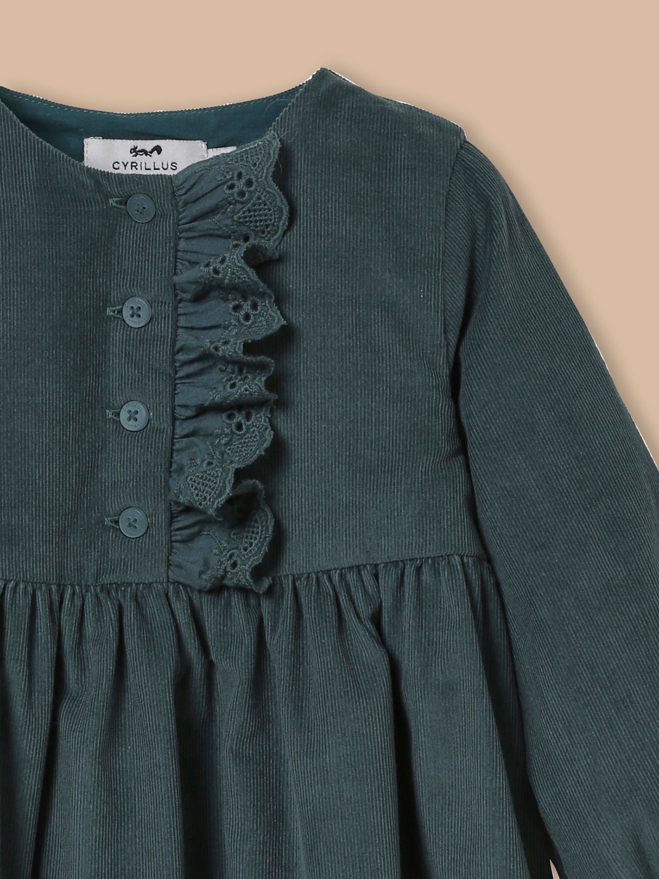 Baby's velour dress
