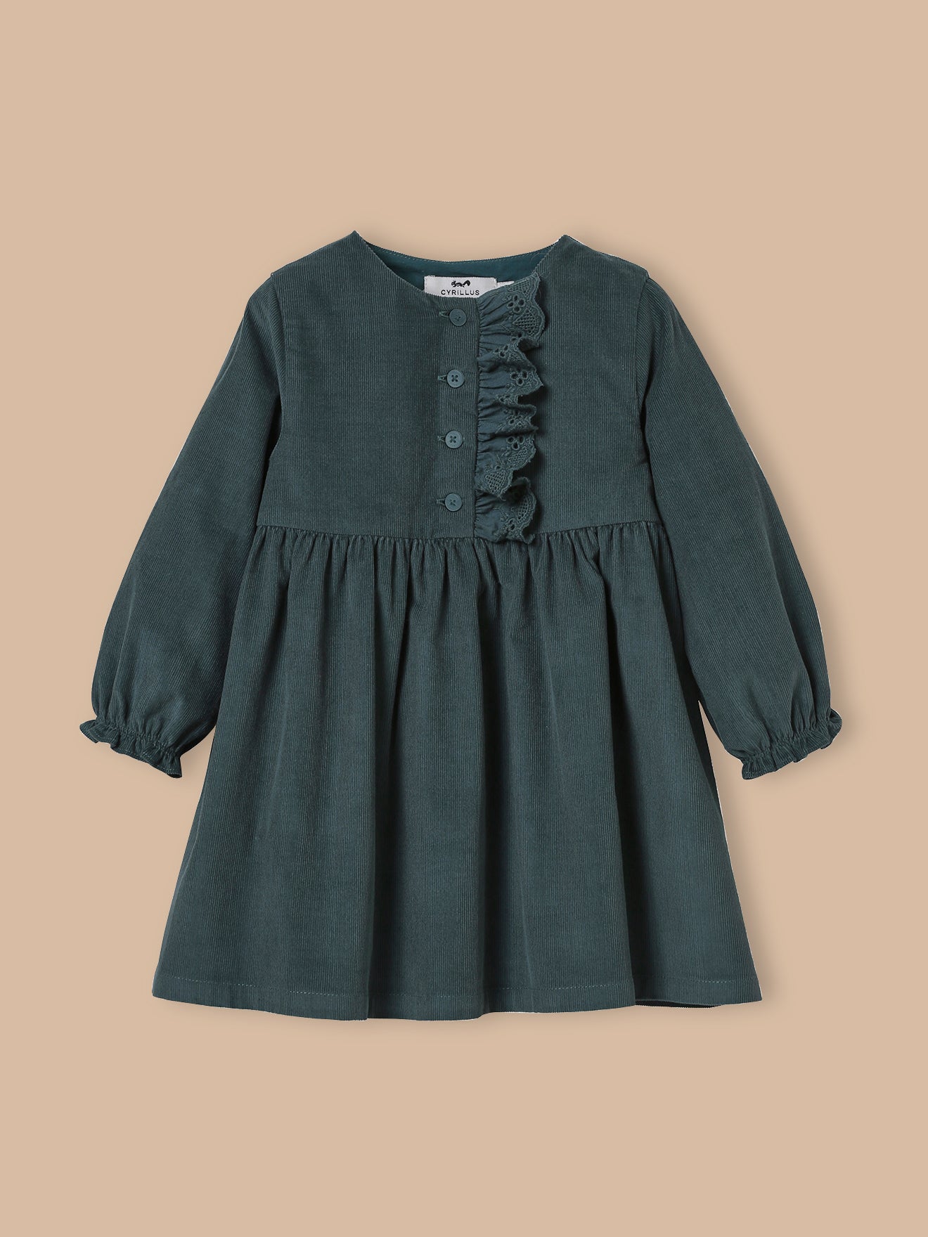 Baby's velour dress