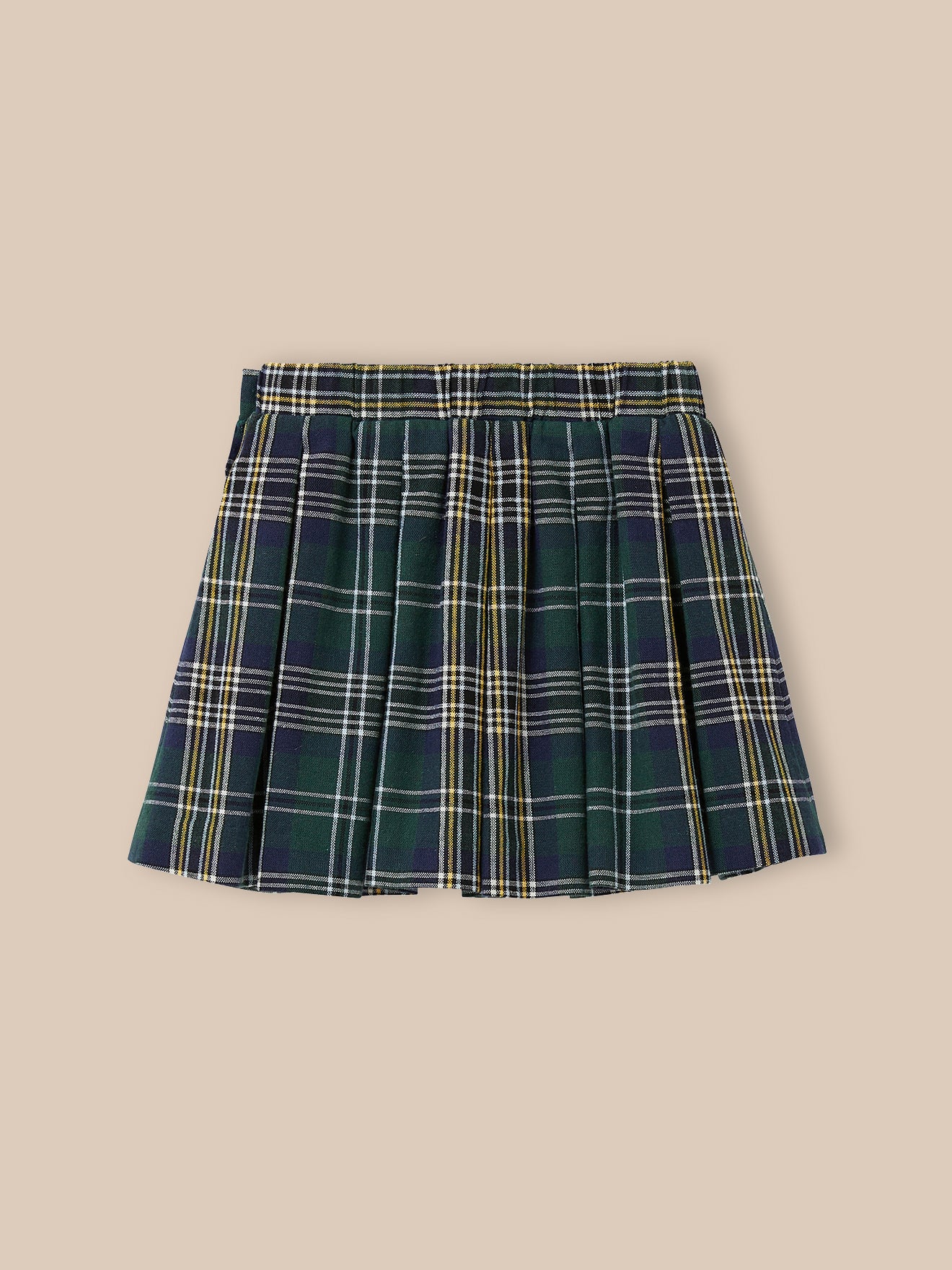 Girl's pleated skirt