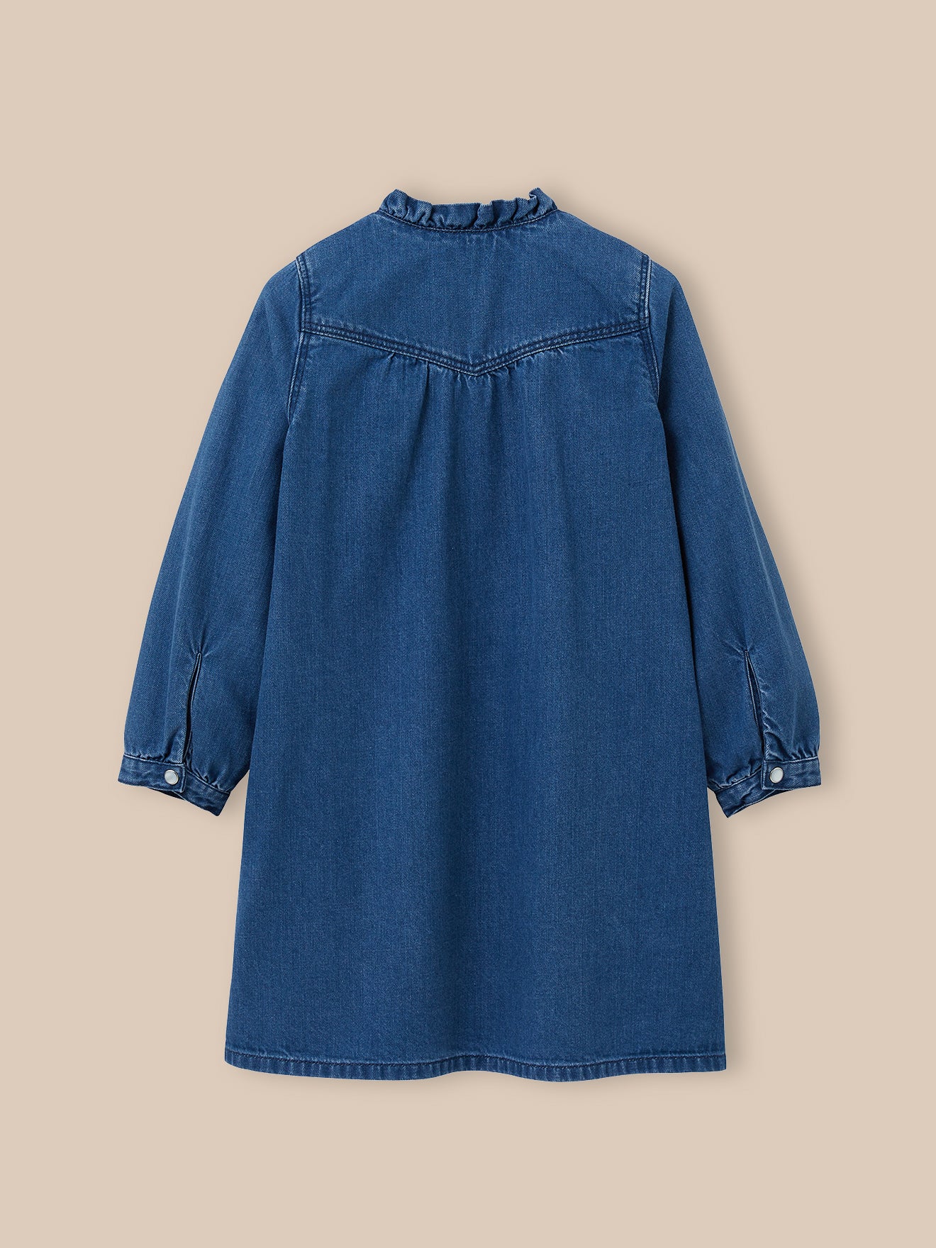 Girl's denim dress