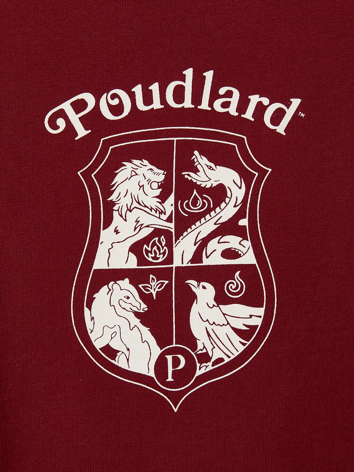 Child's T-shirt - The Harry Potter Collection