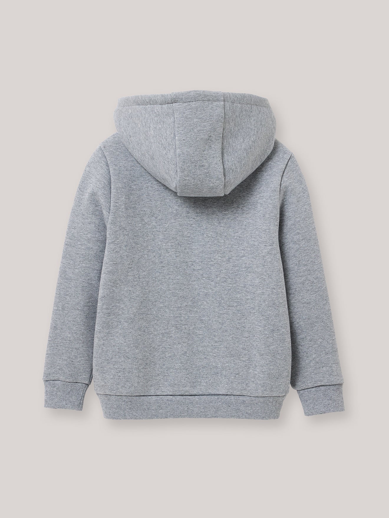 Boy's zip sweatshirt with hood