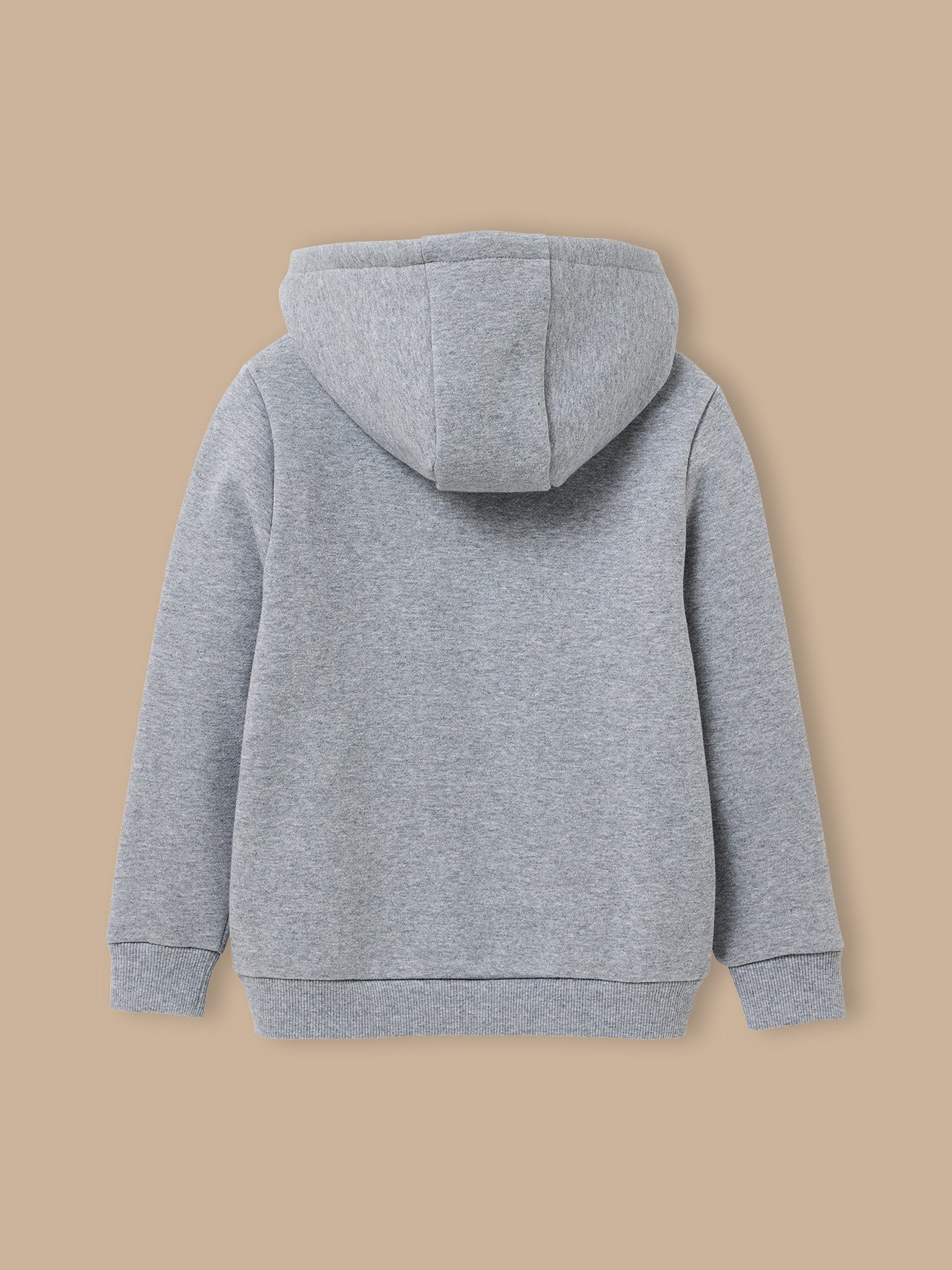 Boy's zip sweatshirt with hood