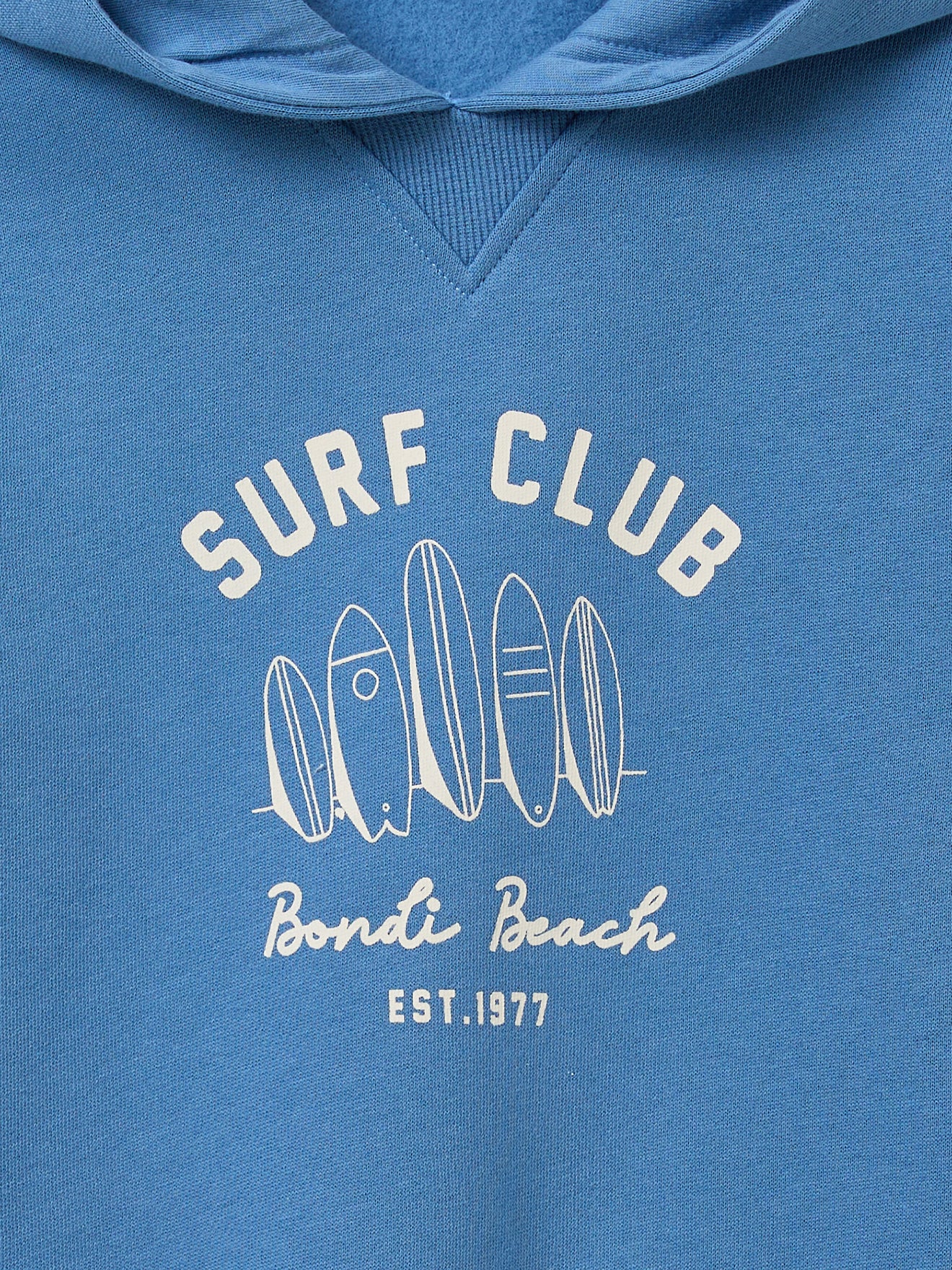 Boy's organic cotton hooded sweatshirt