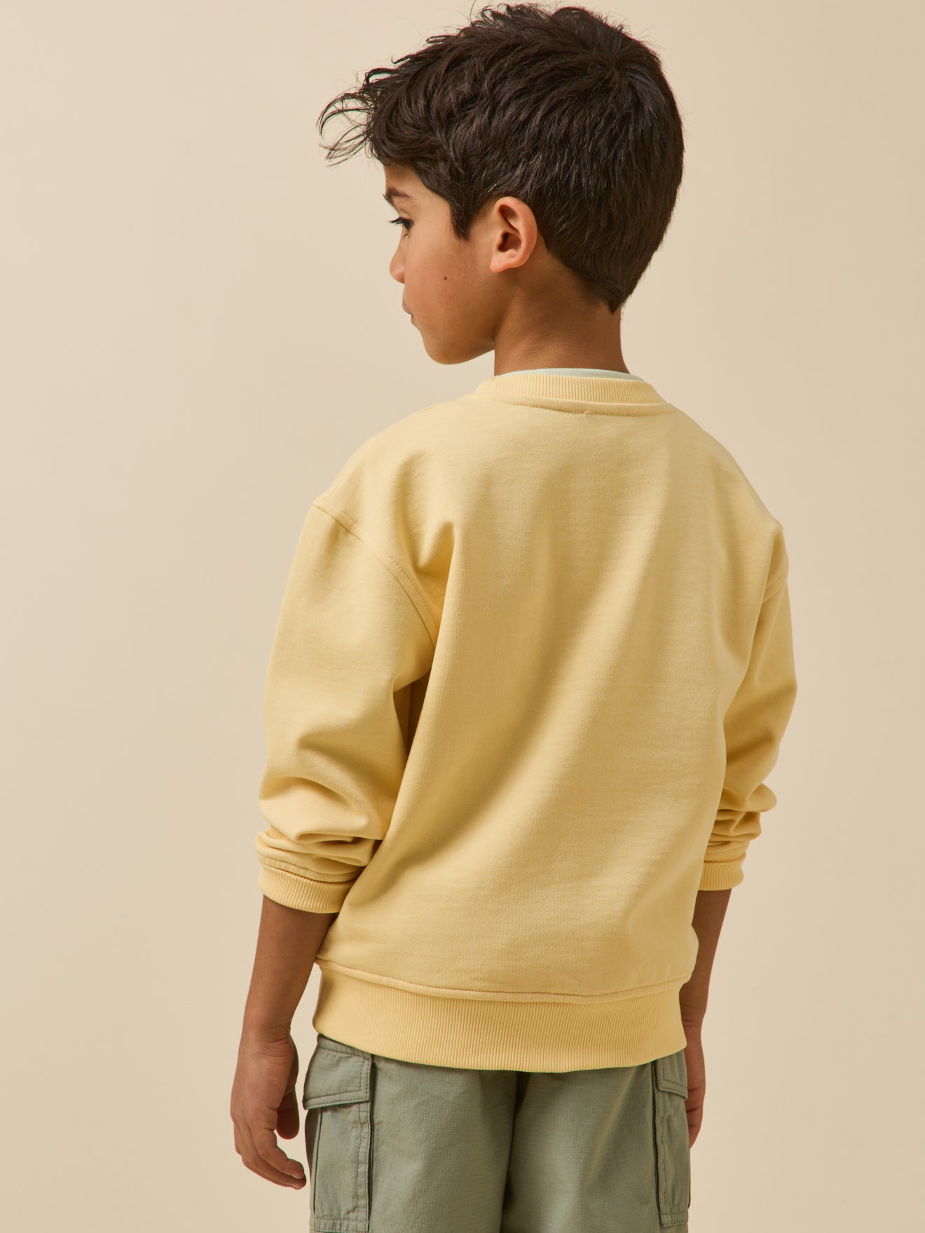Boy's organic cotton surfer sweatshirt