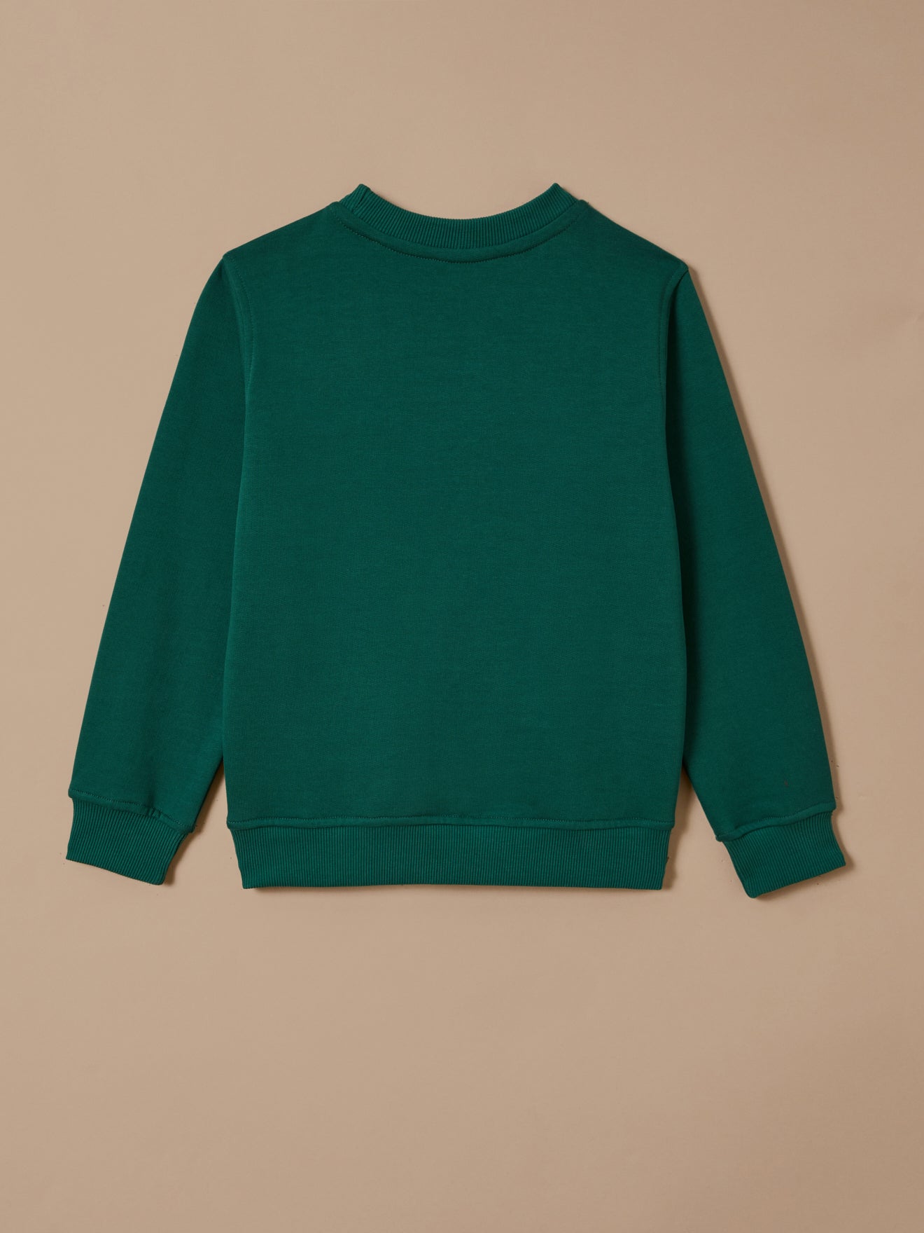 Boy's print organic cotton sweatshirt