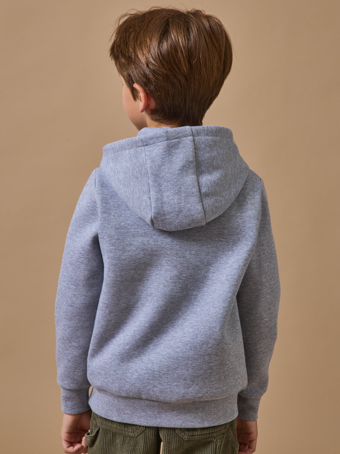 Boy's sweatshirt with hood