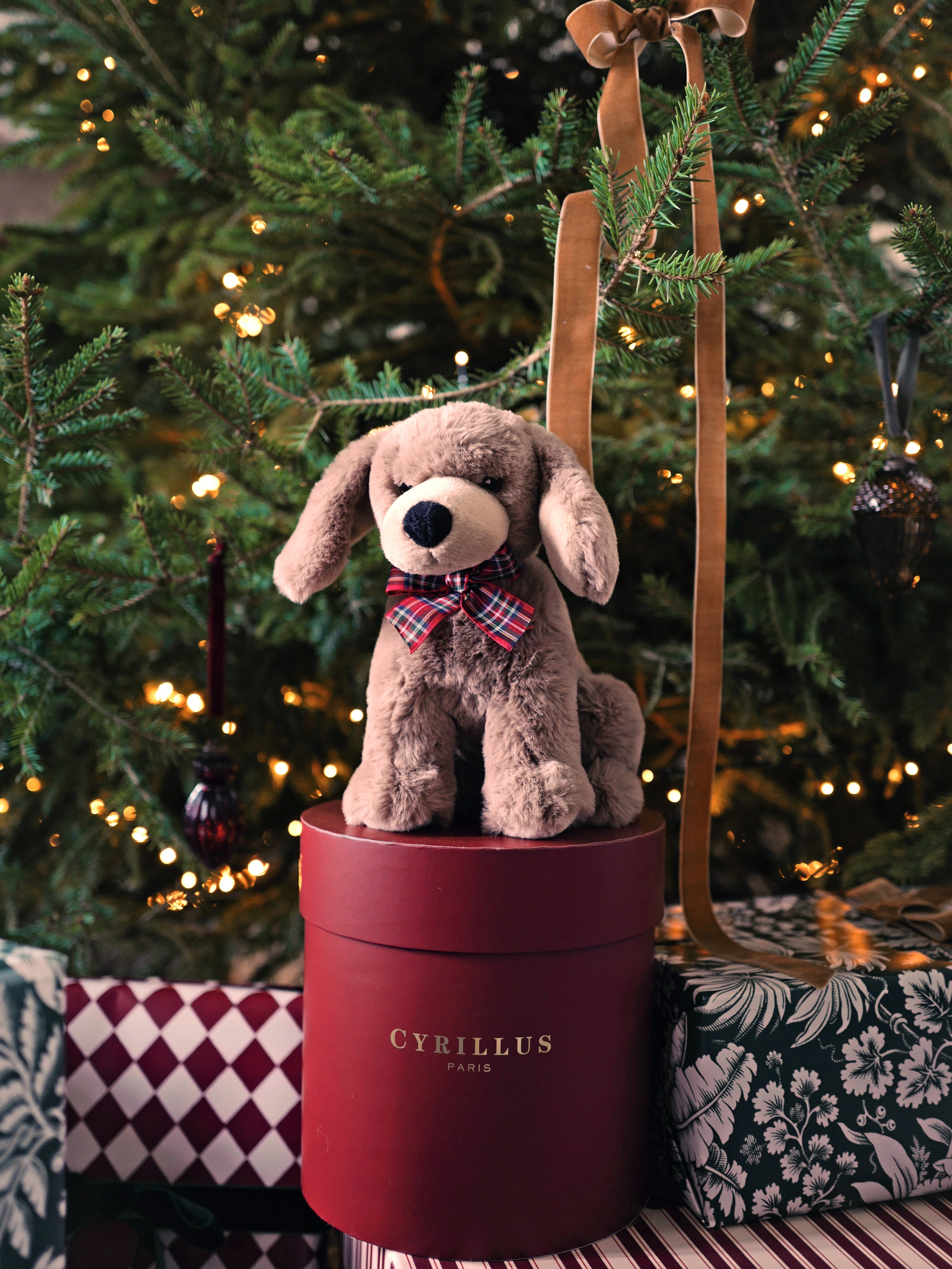 Dog plush toy - Charity Sale