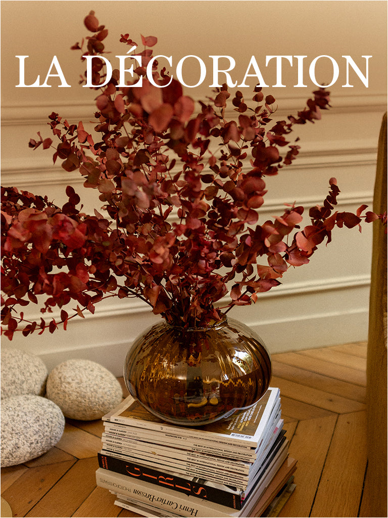 visu_page_maison_deco_FR_ac06e6f5-e3dd-4767-a386-2e92cd2c6d5e