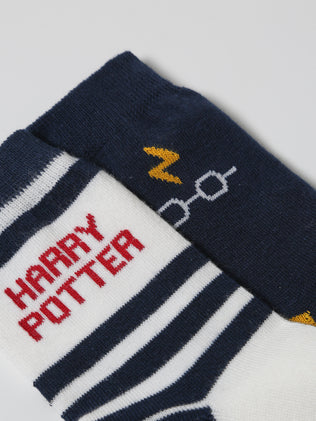 Pack of 2 pairs of Harry Potter Collection socks for boys